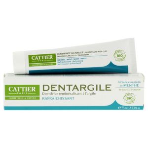 Dentargile Dent Menthe Tb100g