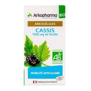 Arkogelules Cassis Bio Fl45 Gelu