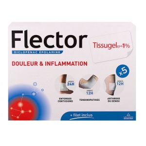 Flectortissugelep 1% Empl Bt5