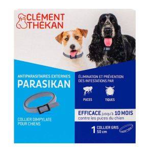 Parasikan Collier Chien