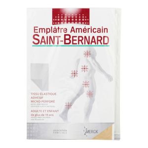 Saint Bernard Empl 20x30cm 1