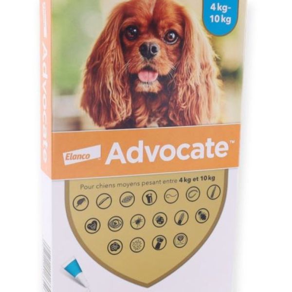 Advocate Chiens 4-10 kg