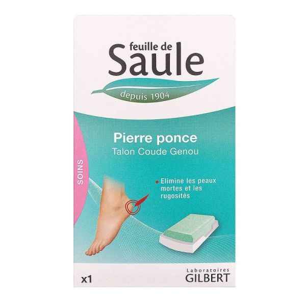 Feuille Saule Pierre Ponce