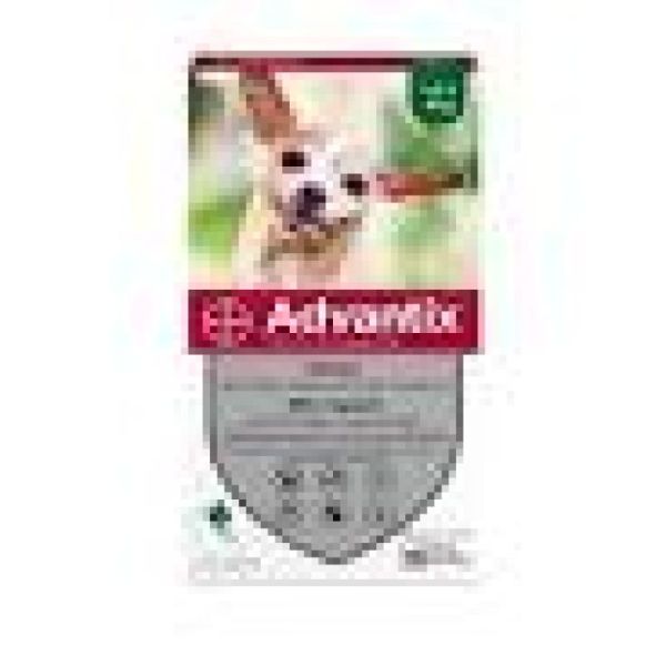 Advantix Tres Petit Chien-4x0,4ml 1bte