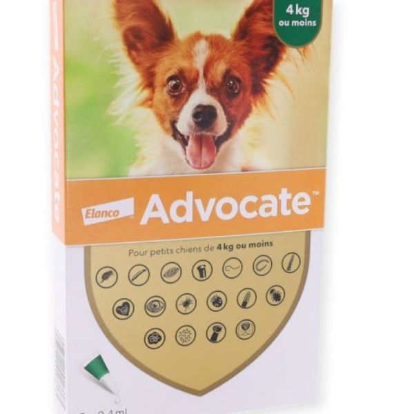 Advocate Chiens 4kg ou moins