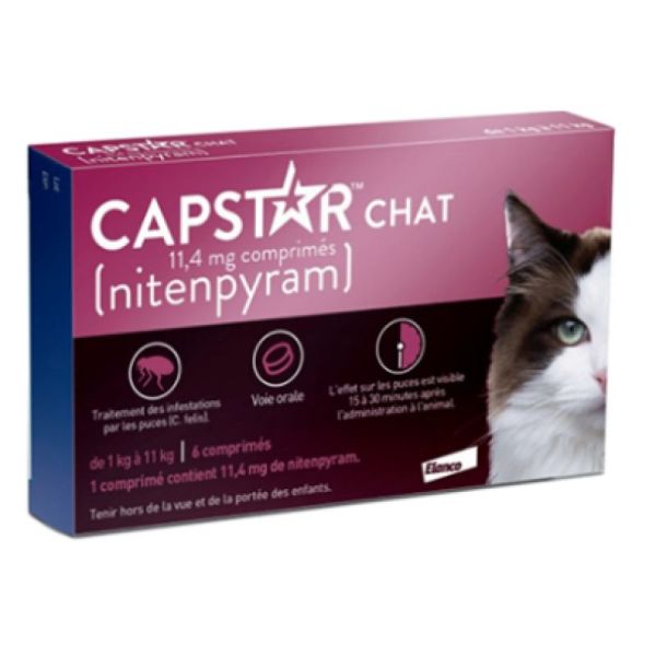 Capstar Chat Bte6